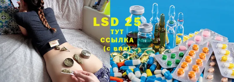 LSD-25 экстази кислота  блэк спрут ONION  Кадников 